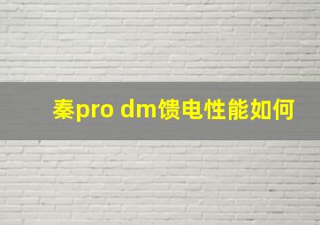 秦pro dm馈电性能如何